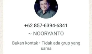 post_1787228751