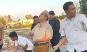 post_1789293431